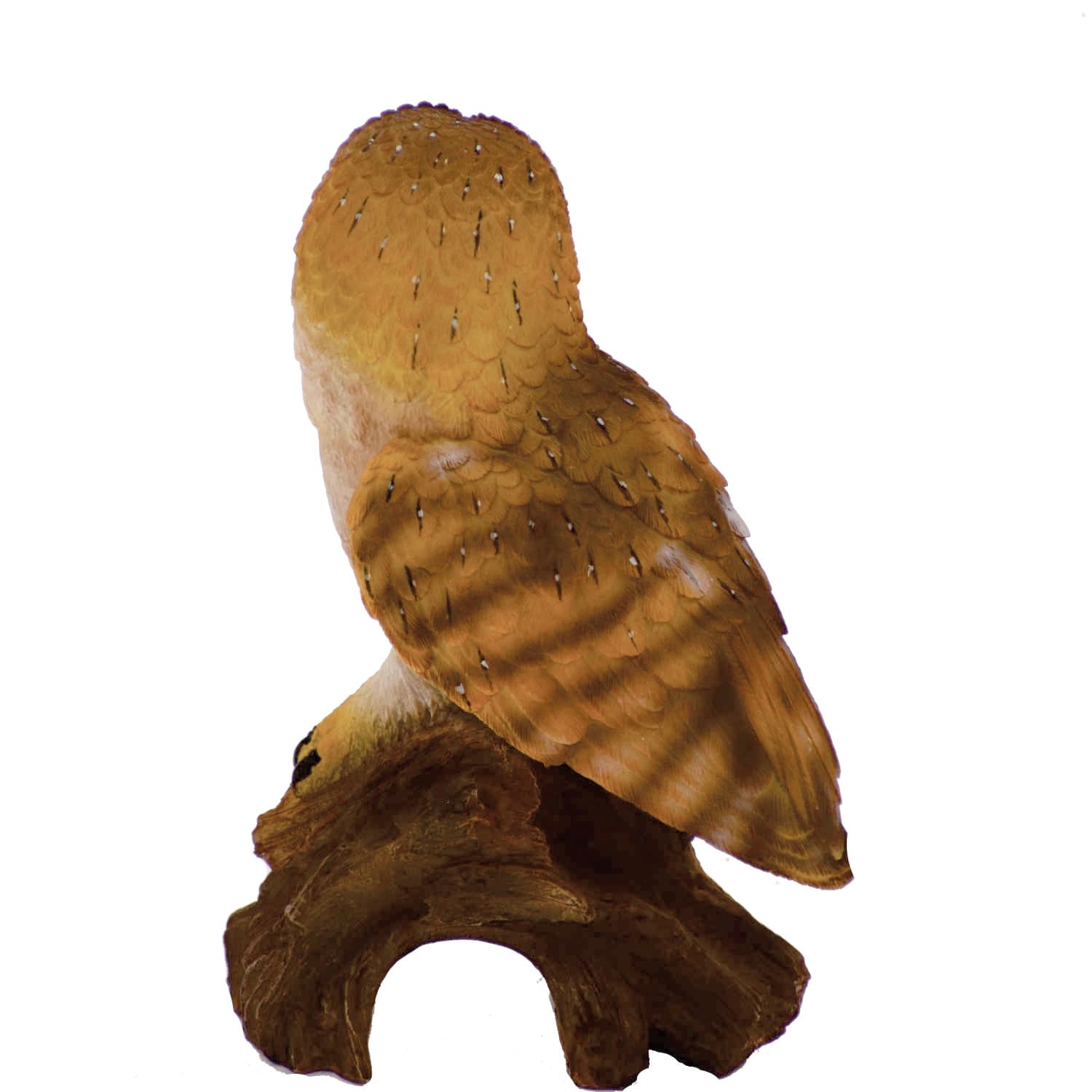 Hi-Line Gift Ltd. - Wholesale Decorative Figurine - Small Barn Owl On Stump4