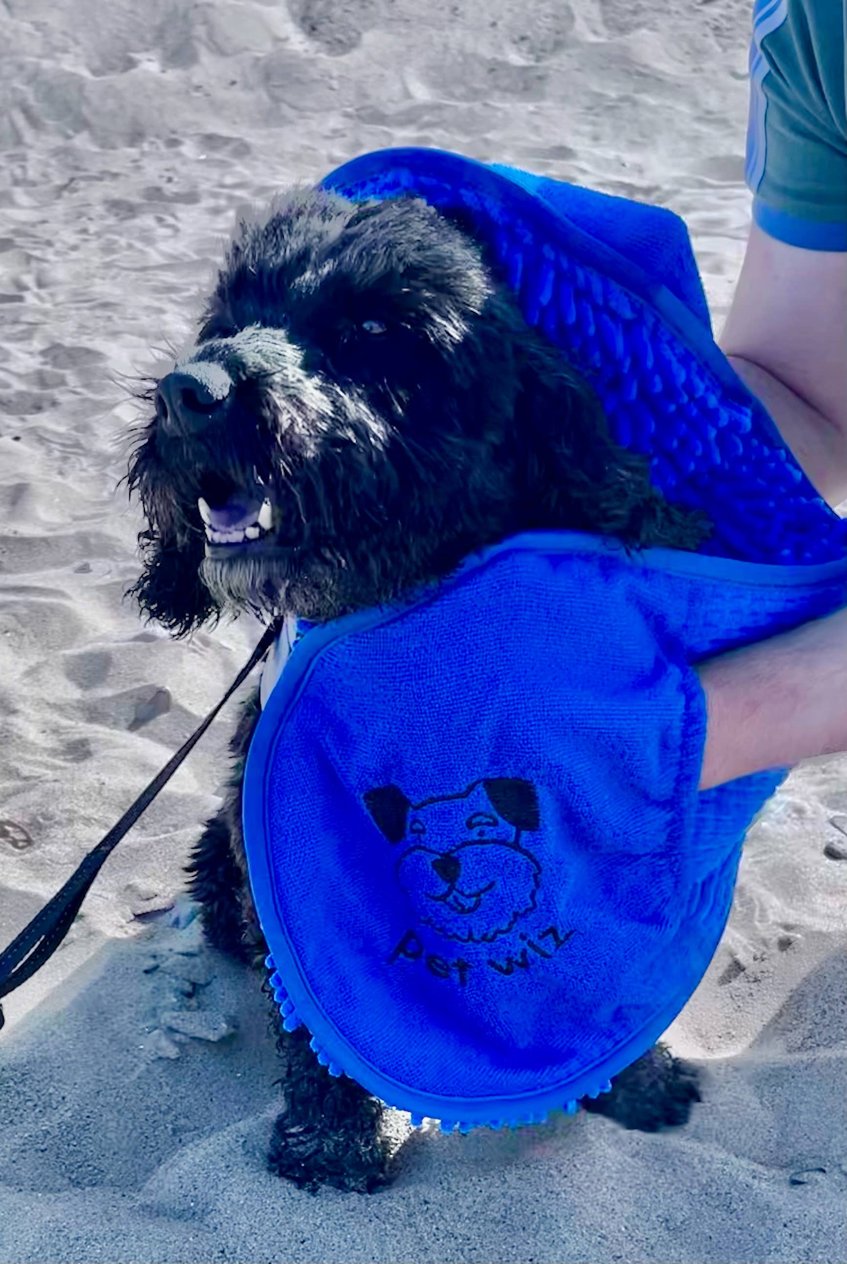 Pet Wiz - Vente Serviette – chien - Serviette pour chien en microfibre à texture chenille avec poche pour les mains11