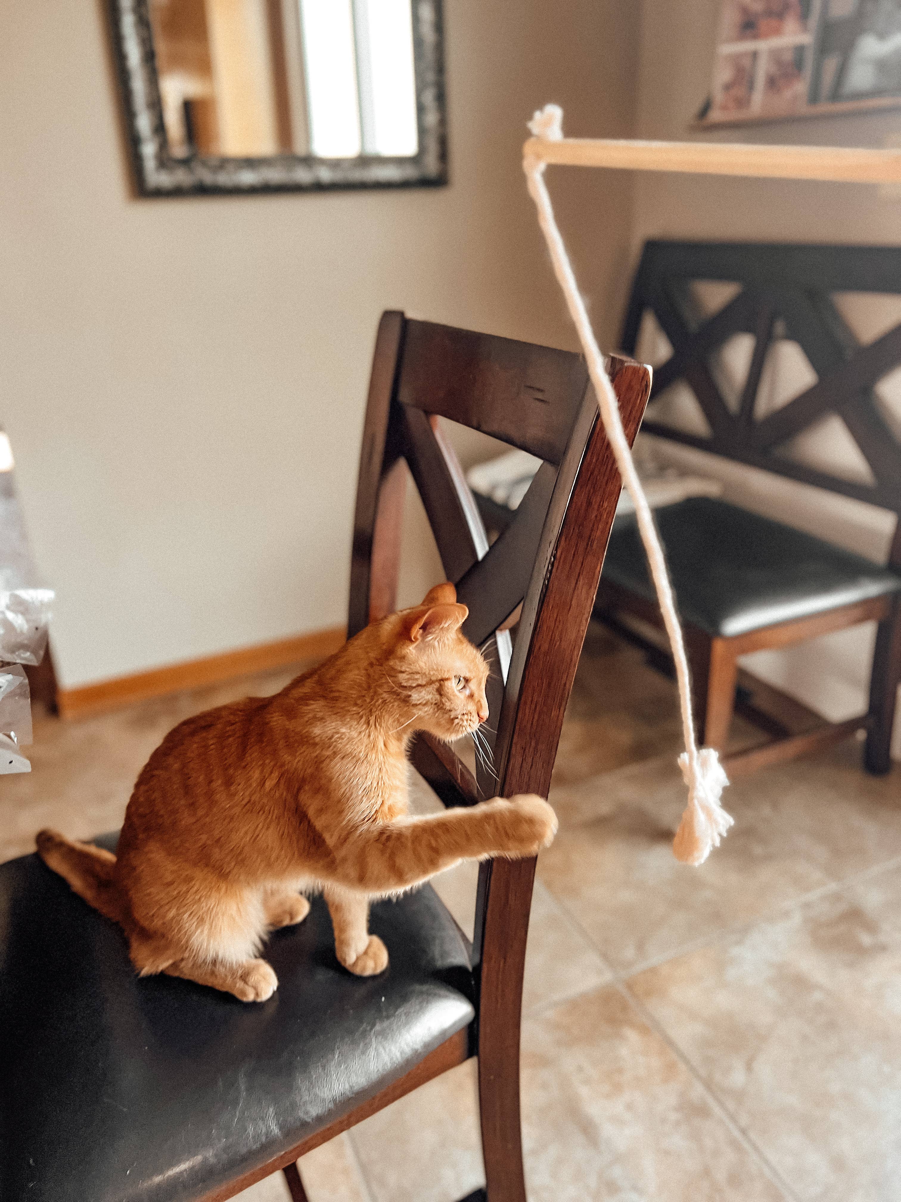 Meraki The Studio Co. - Wholesale Pet Toy - Cat - Macrame Cat Wand Teaser Toy | Gifts for Pets & Kitten Lovers5