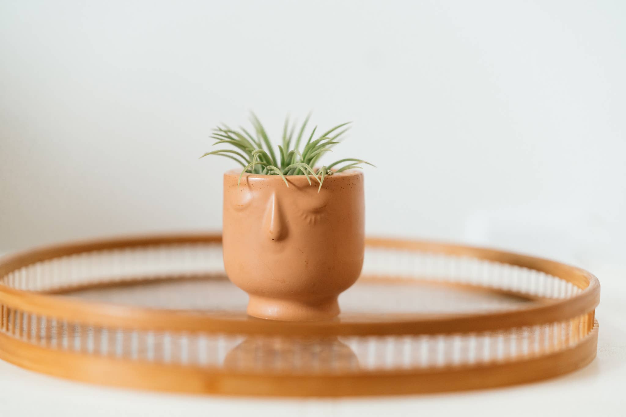 Made by Kippen - Wholesale Plant Pot - Mini Face Pot1