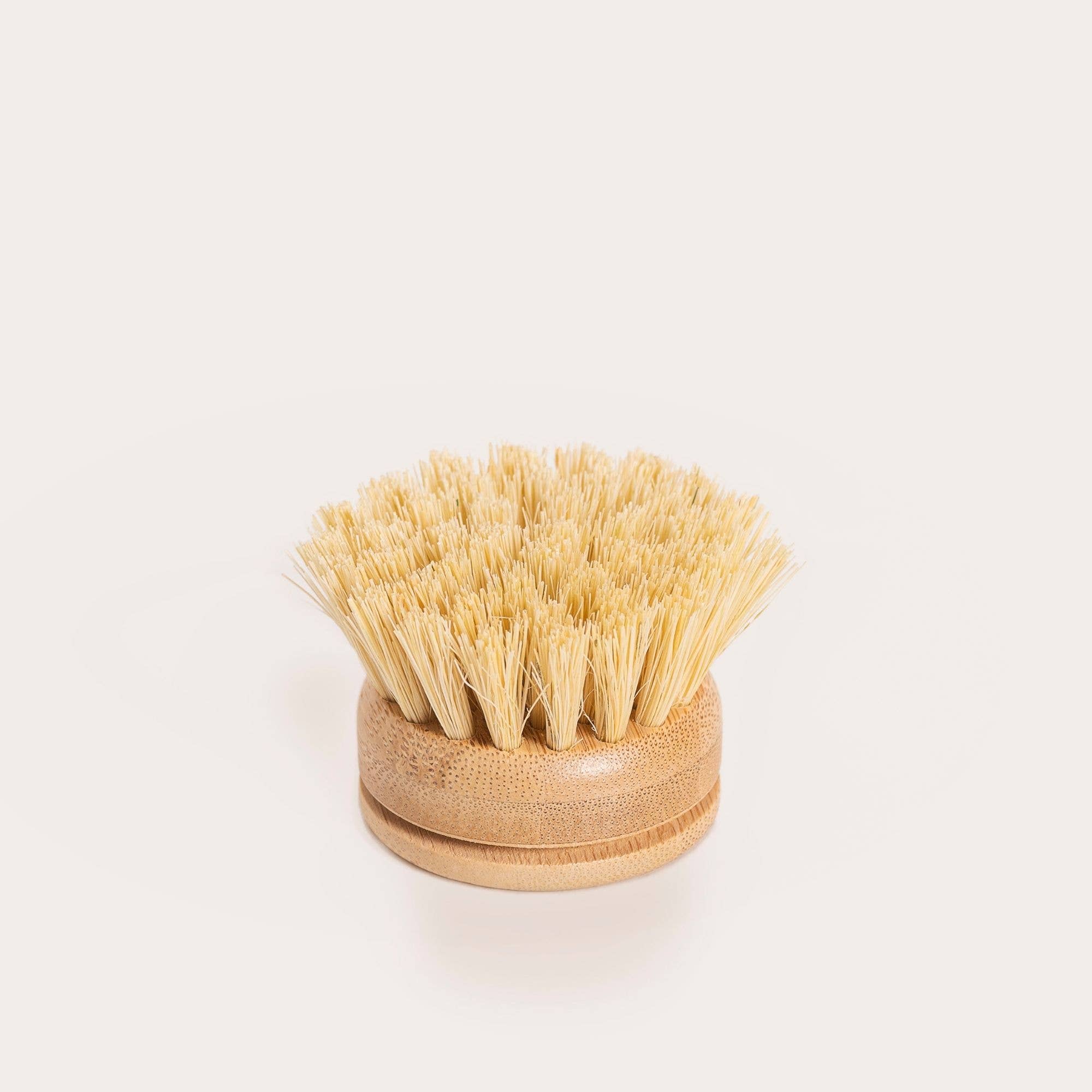 Oceansrespect 🌊🌍🌱 - Wholesale Cleaning Brush - Replaceable head for our reusable bamboo dish brush15