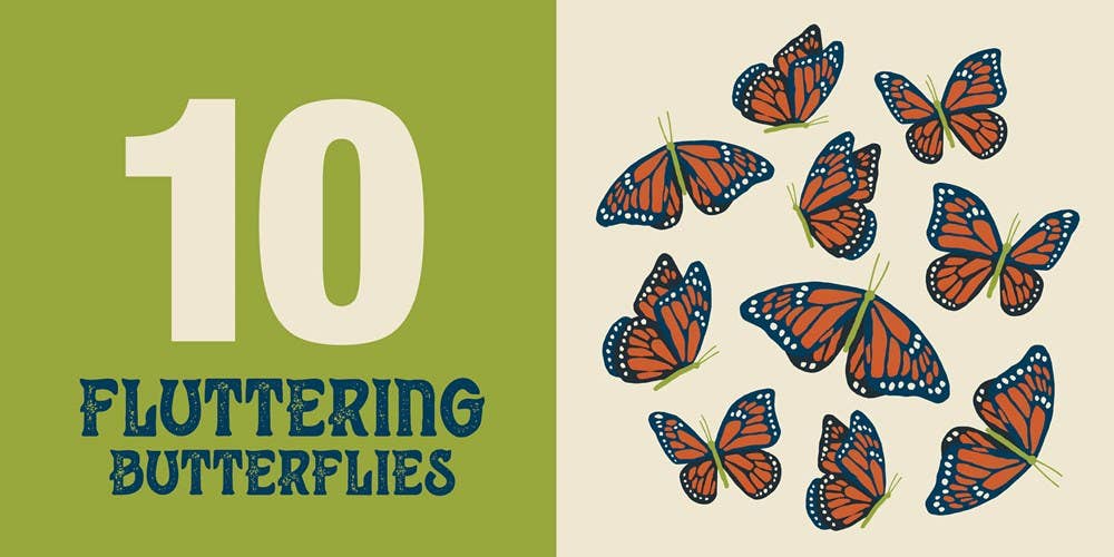 Gibbs Smith - Wholesale Baby & Toddler Book (0-2) - Count On Texas3