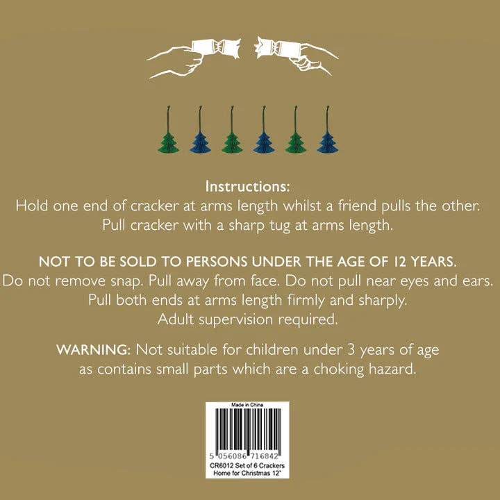 Sophie Allport - Wholesale Christmas Decoration - Home for Christmas Crackers (Set of 6)3