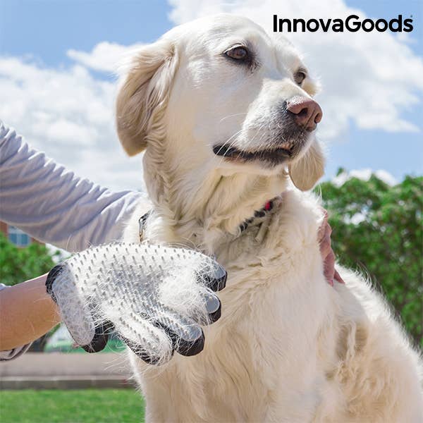 InnovaGoods – wholesale Pet grooming aid – Dog – InnovaGoods Pet Brush and Massage Glove2