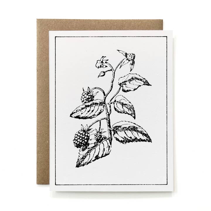 100% Recycled B&W Botanical Card - Blackberry Plant for wholesale by Knapping Press