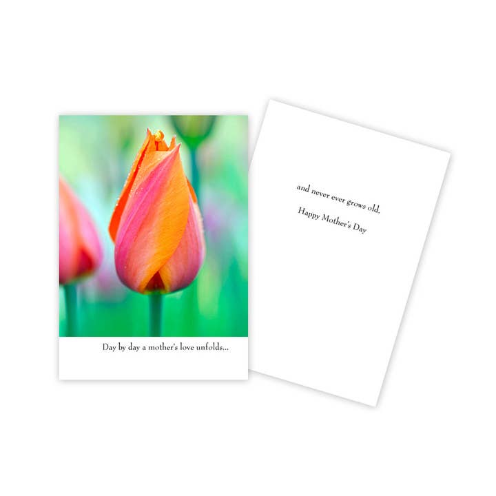 Tulip Floral Mother's Day Card for wholesale by Sun Day Greetings