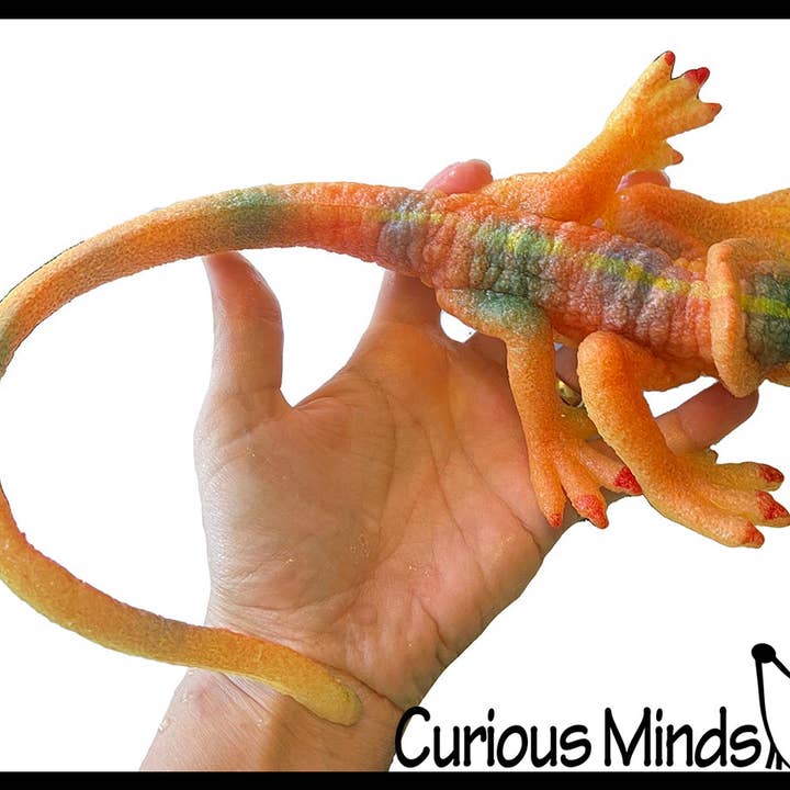 Curious Minds Toys – wholesale Fidget Toy - Barn – 1 Jumbo odla en ödla i vatten - tillsätt vatten och det växer upp