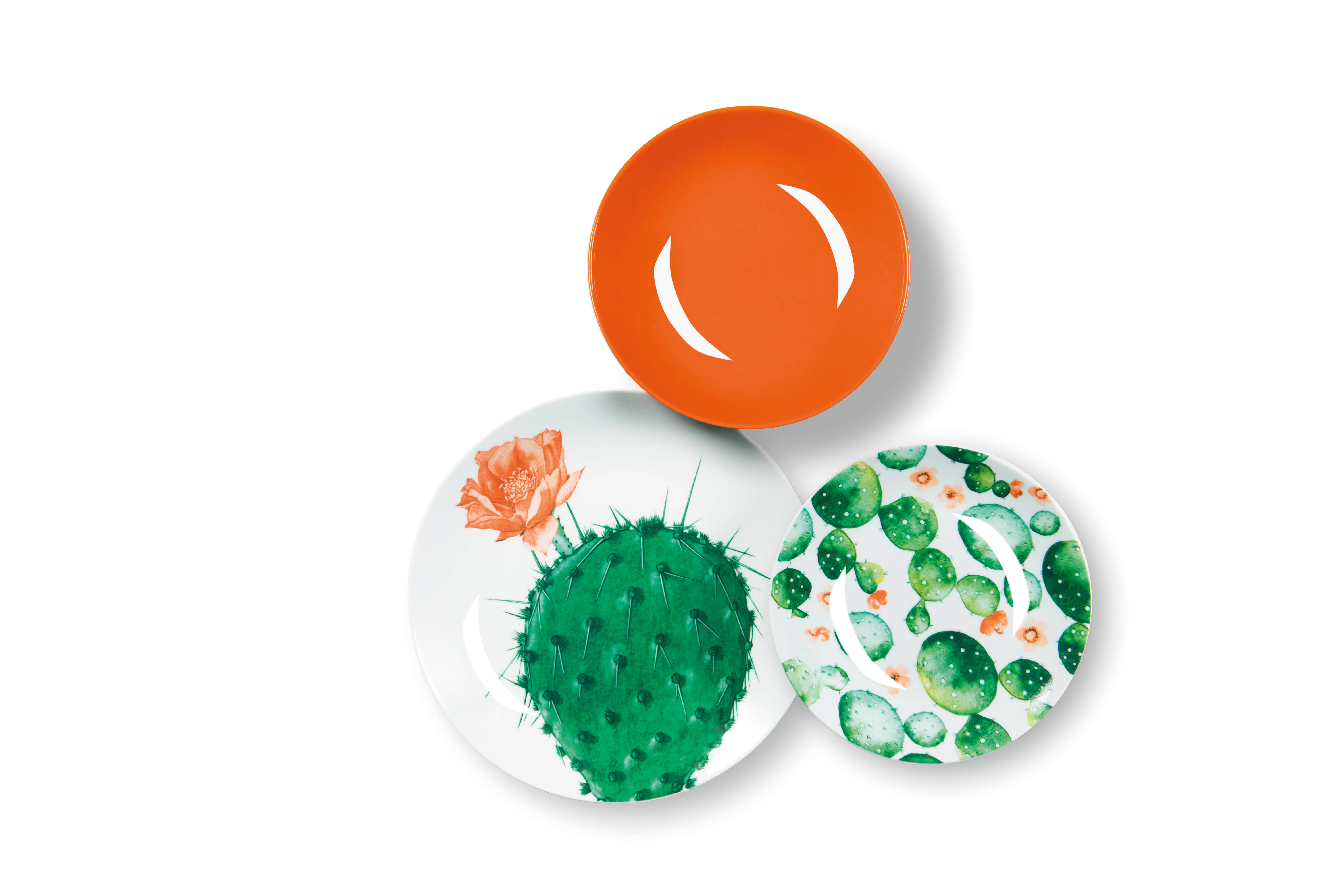 multicolour 18-Piece Dinnerware Set Color Cactus for wholesale on Faire3