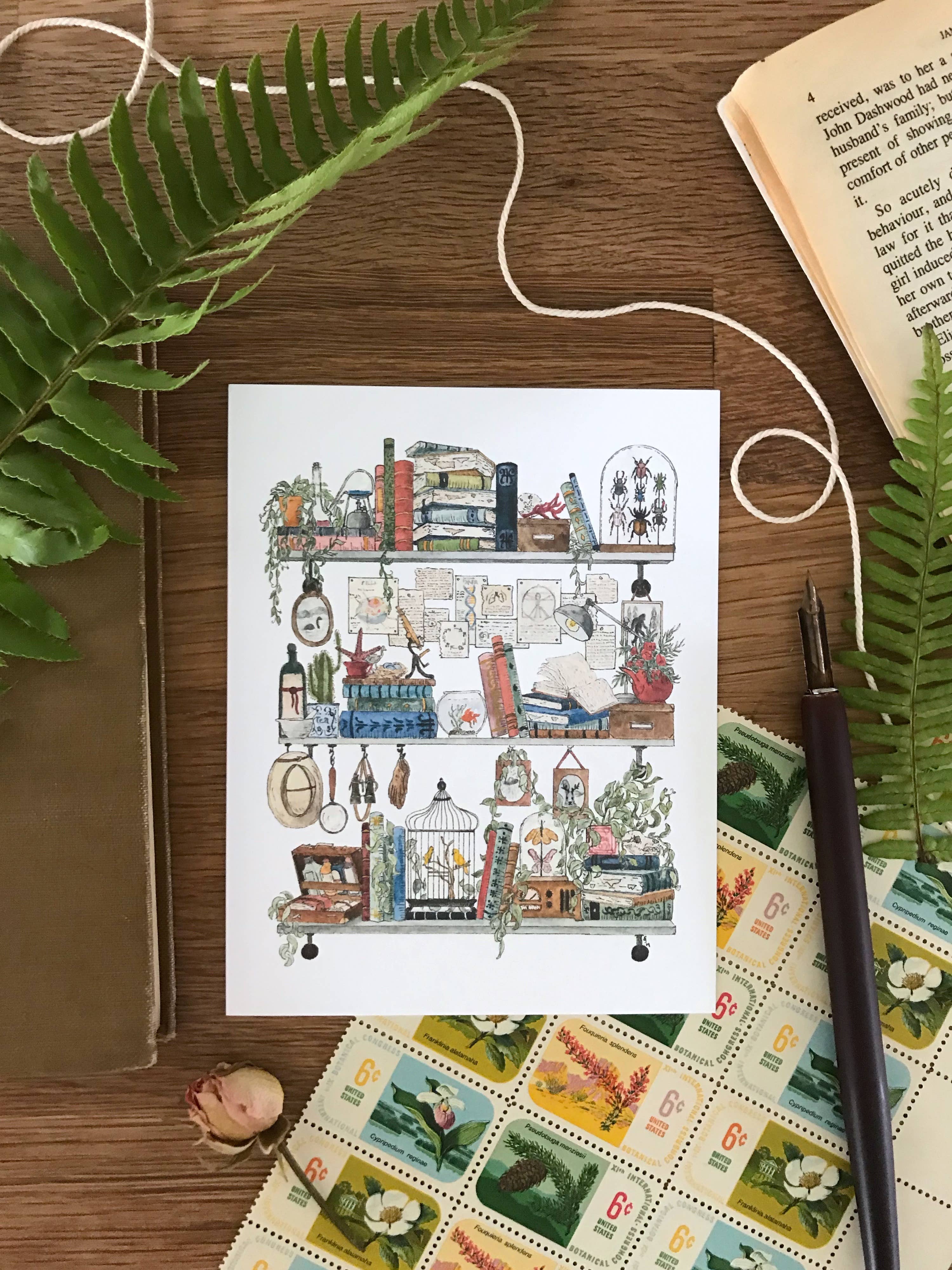 Lizzy Gass - Wholesale Postcard - The Biologist's Shelves Postcard3