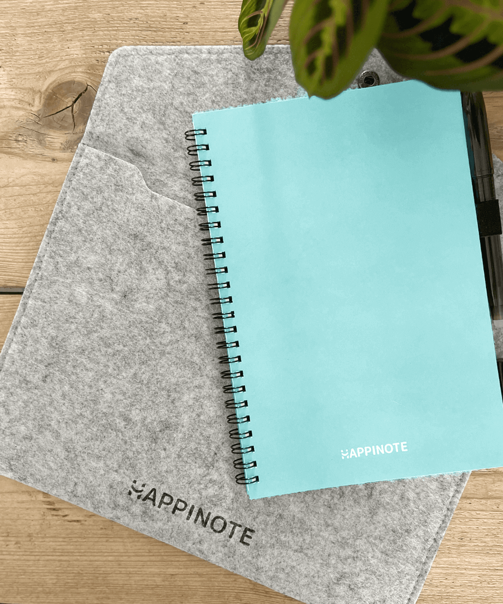 Happinote - Wholesale Notebook - A5 Notebook Sleeve - Light Grey1
