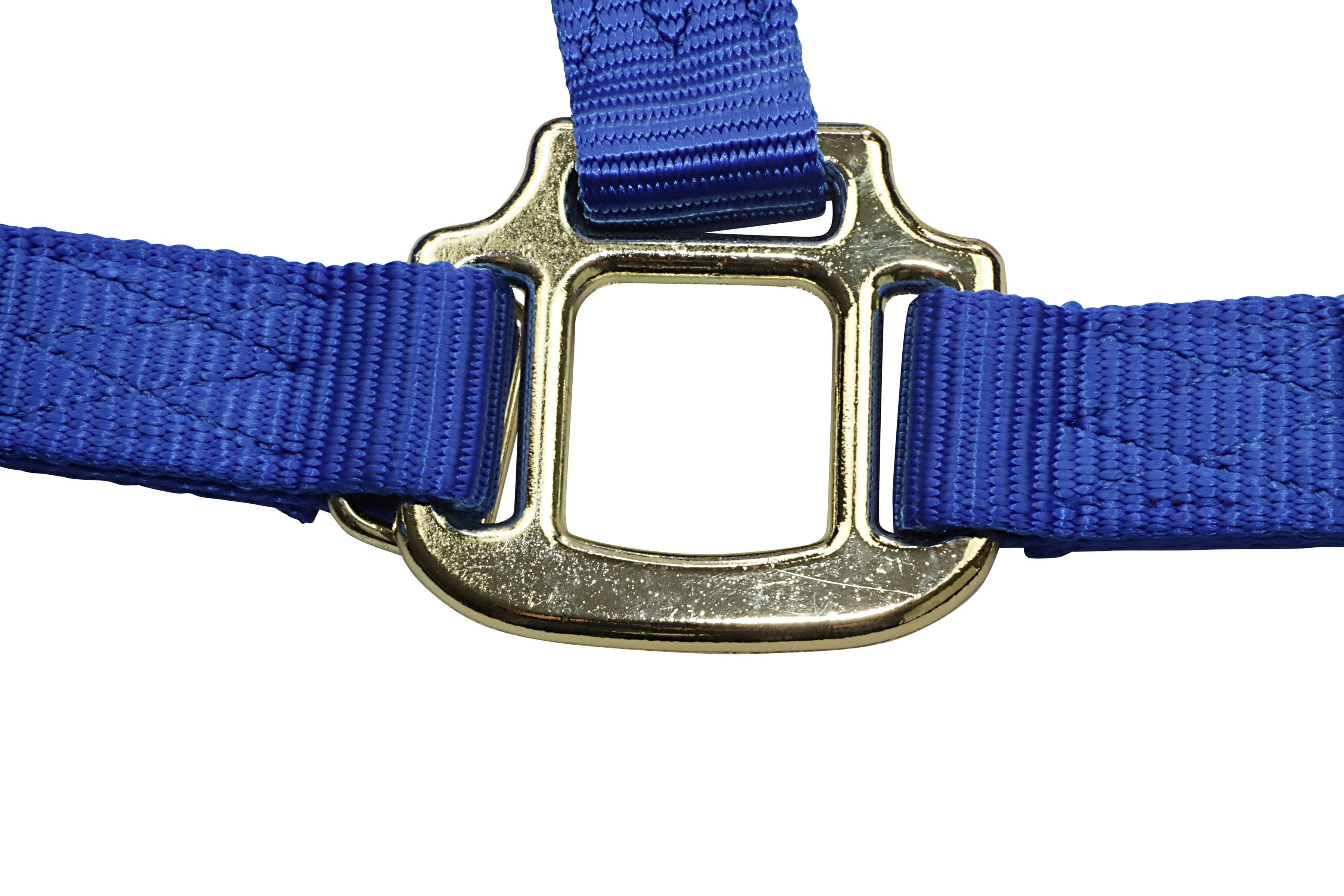 Grewal Equestrian - Wholesale Paardrijuitrusting - Nylon hoofdstellen voor paarden18