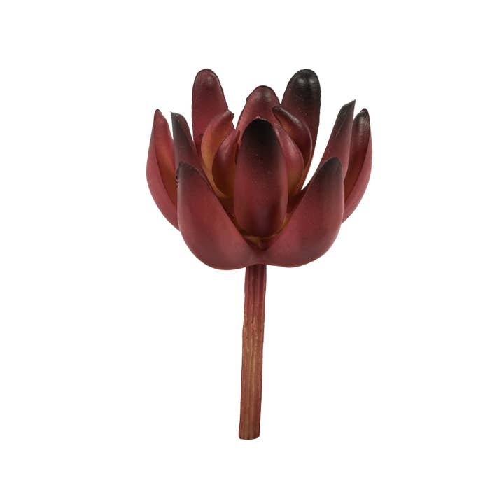 Vickerman 4" Artificial Assorted Succulent Picks, 6 per Bag for wholesale by Vickerman