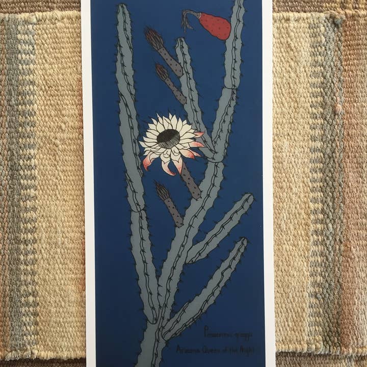 Queen of the Night Cactus Print for wholesale by Sonoran Witch Boy