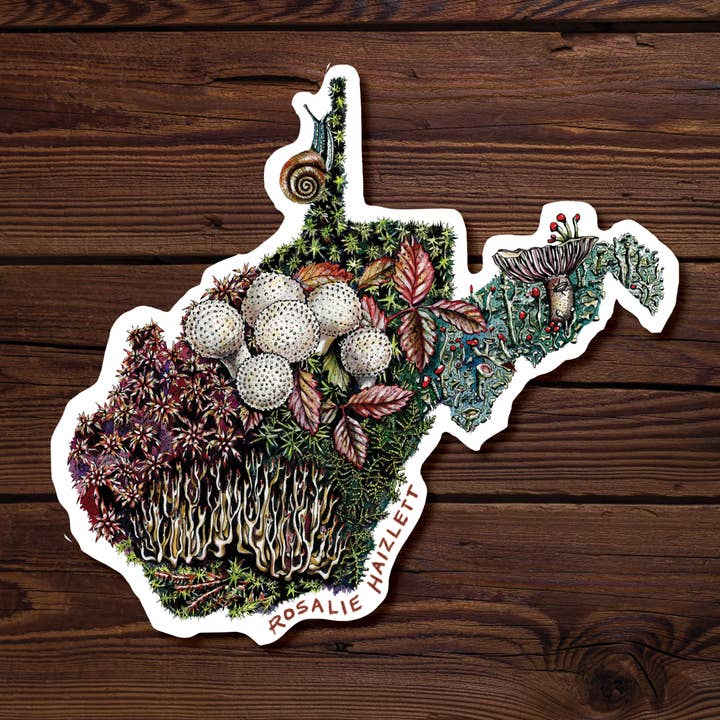 Rosalie Haizlett Illustration - Wholesale Sticker - West Virginia Forest Floor - Waterproof Vinyl Sticker1