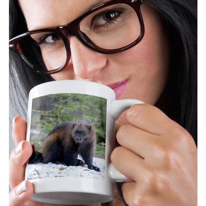 3dRose - Wholesale Coffee Mug - 3dRose, Finland, Northern Karelia Region, Lieksa. A wolverine chews on meat., Mug9