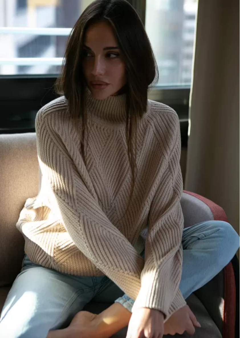 Nenya Fashion Limited - Wholesale Knit Sweater - Women's - High Neck Knitted Sweater With Geometric Print3