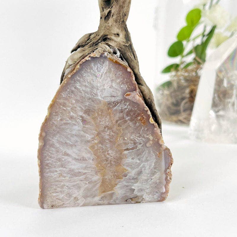 Rock Paradise - Wholesale Spiritual Stone/Crystal - Sodalite Crystal Tree on Agate Geode Base - You Choose Color11