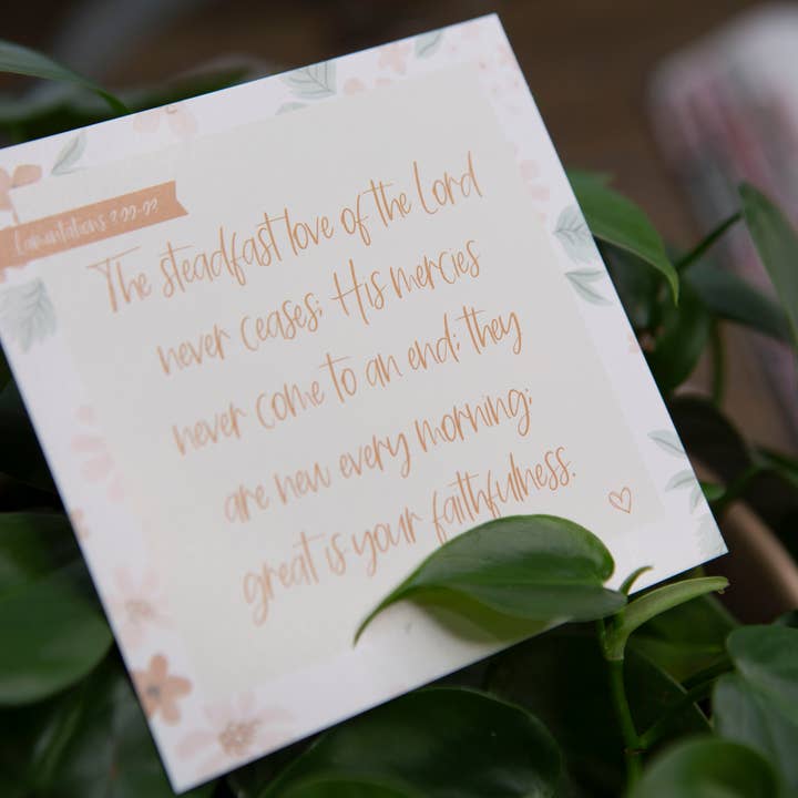 Chosen & Cherished - Wholesale Religious Card - Bible Verse Cards | God's Faithfulness Scripture Cards7