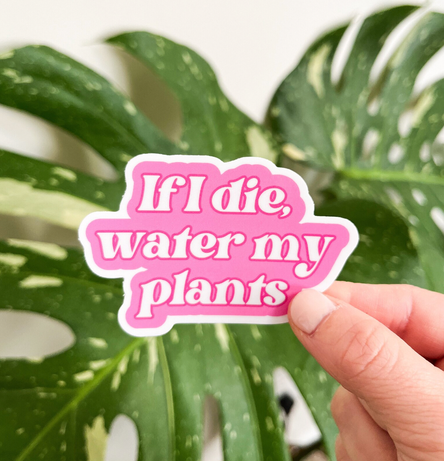 Tiny Plant Market - Wholesale Sticker - If I Die, Water My Plants Sticker1