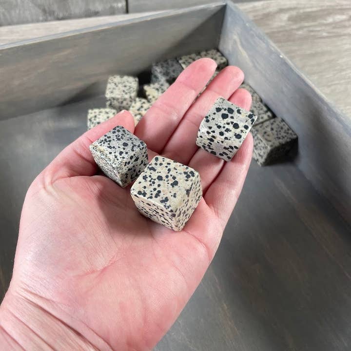 Cubes Polis en Jaspe Dalmate - Lot de Gros de 1LB pour la vente par Keystone Crystals