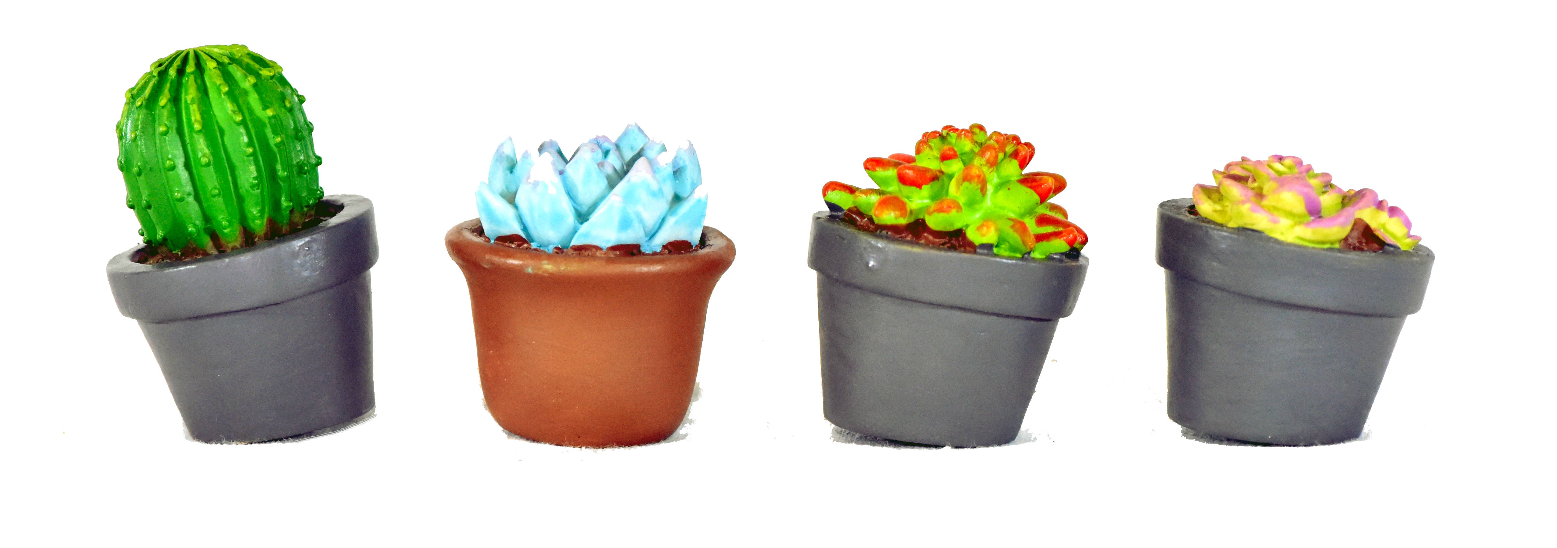 G & F Products - Wholesale Succulent - Garden Miniature Succulent, 4 pc9