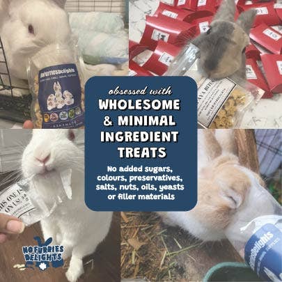 No Furries Delights – Suplemento para animais de estimação – Excluindo cães/gatos por atacado – Binky Chips | Bolso de pílula para pequenos animais11