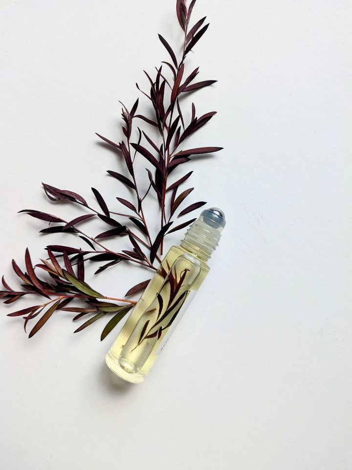 NEW Perfume Nova oil 10ml for wholesale by Naturopathic Alchemy