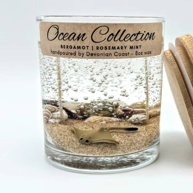 Sting Ray Beach Gel Candle – Large 8oz Wax for wholesale by Devonian Coast