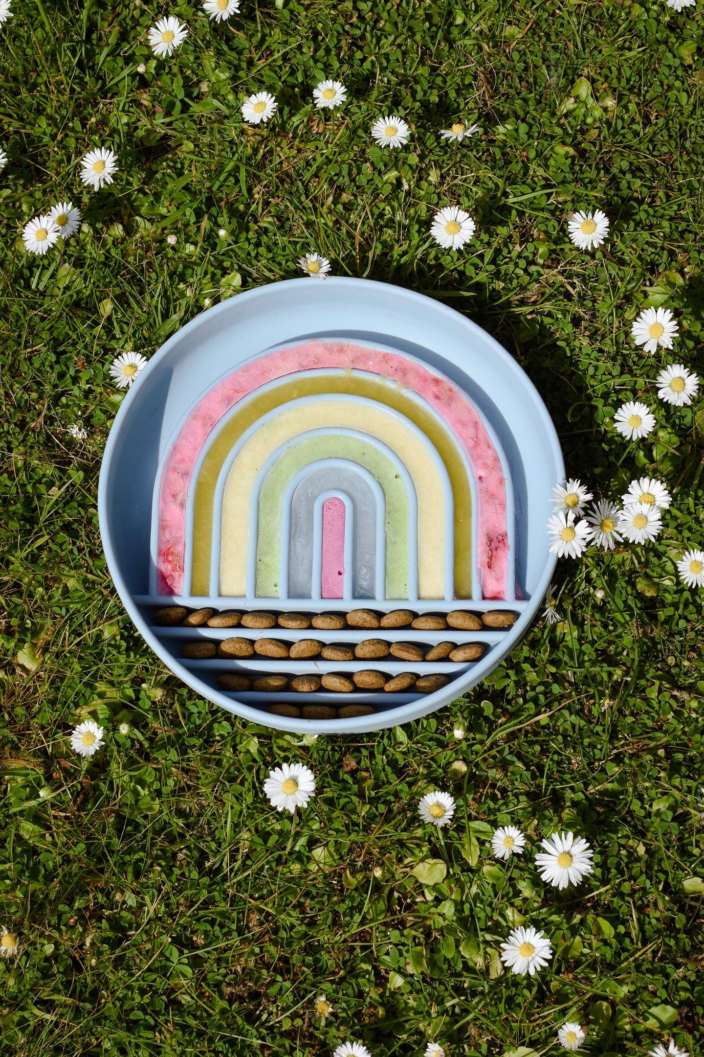 Bodhi & The Birchtree - Wholesale Pet Bowl - Dog - Rainbow Enrichment Bowl Leaden1