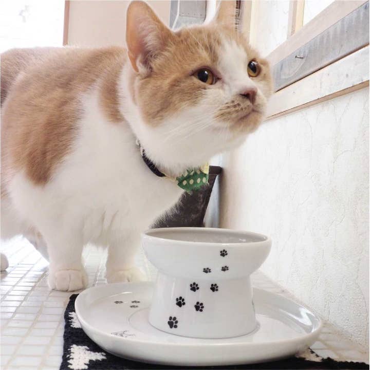 MOON-X USA, INC. - Wholesale Pet food mat – Dog - Necoichi Dining Tray (Single)10