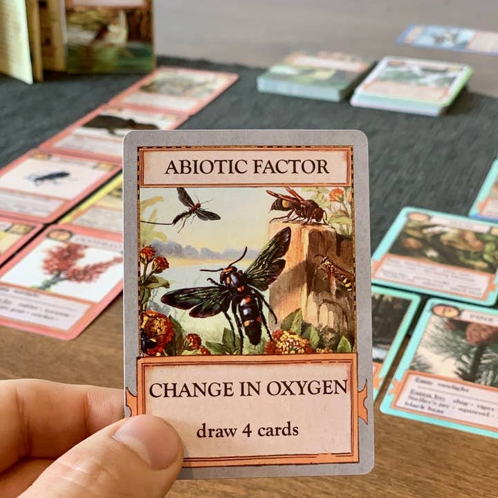 Montrose Biology - Wholesale Card Game - Ecologies Card Game2