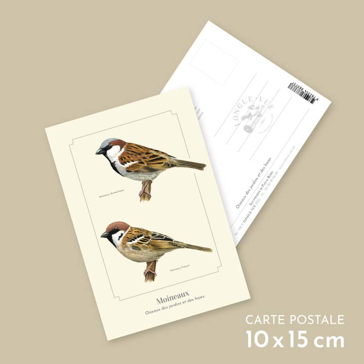 Sparvar - vykort för wholesale av Longue-vue