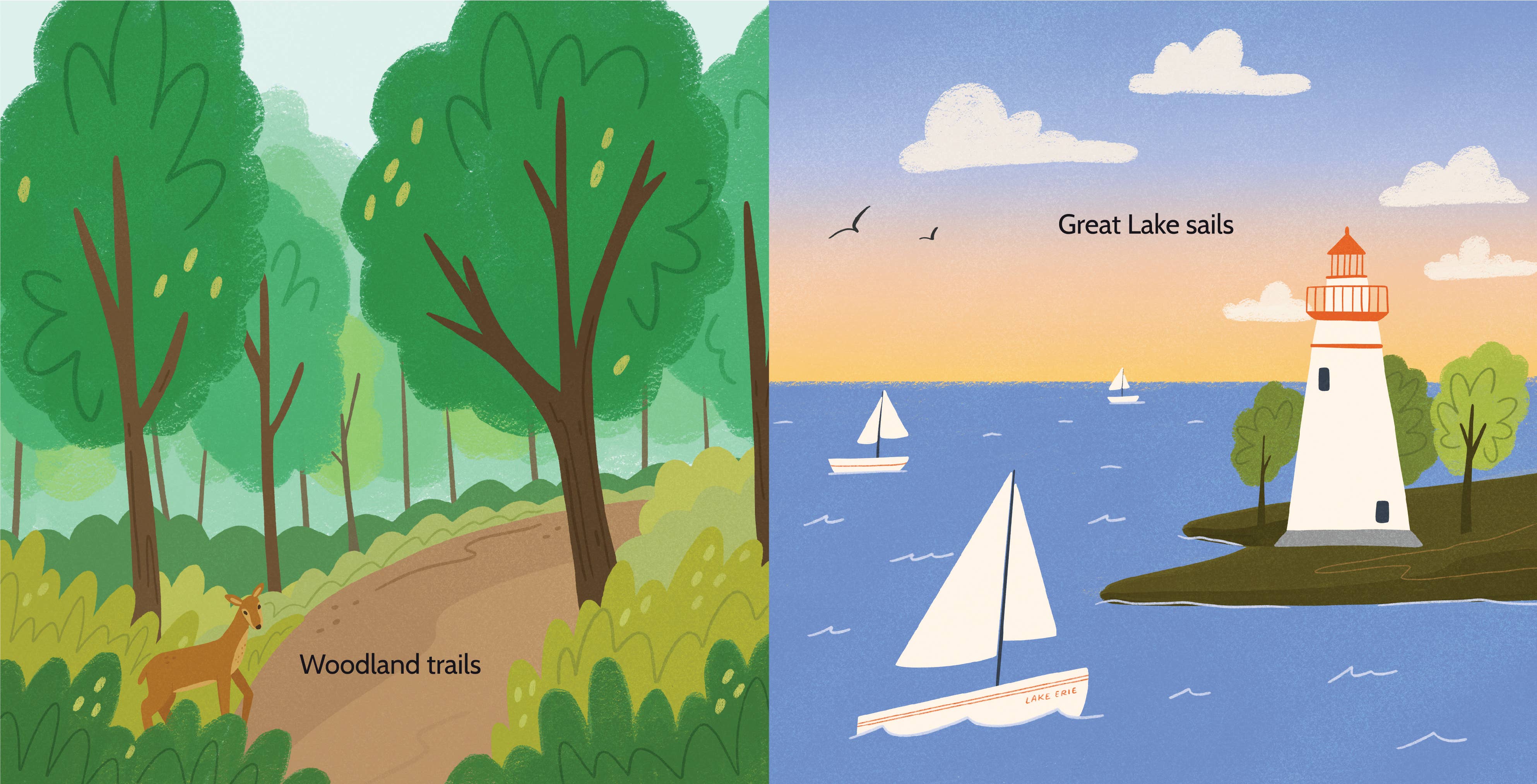 Piccolo Press - Wholesale Baby & Toddler Book (0-2) - Here in Ohio Board Book3