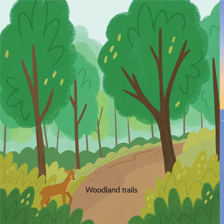 Piccolo Press - Wholesale Baby & Toddler Book (0-2) - Here in Ohio Board Book3