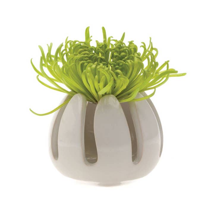 Porte-vase pour plante aérienne Gideon White Cadeaux liés aux plantes pour la vente par Chive Canada
