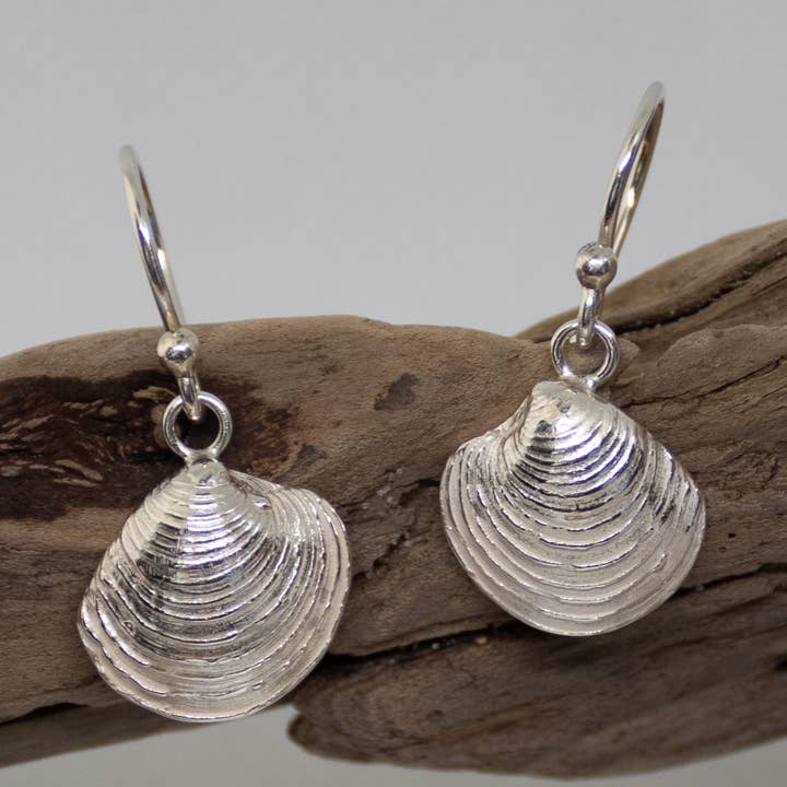 Falmouth Clam Shell Drop Earrings for wholesale by Sea Salt & Silver