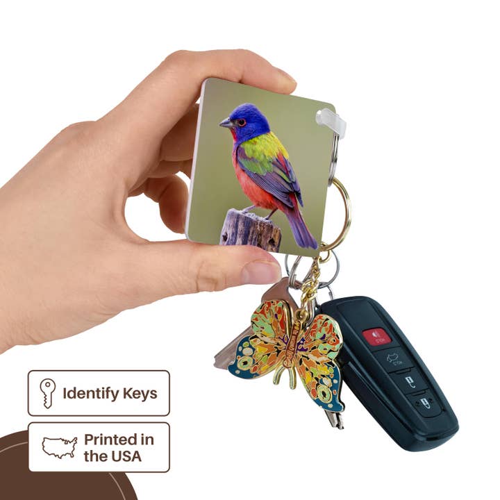 3dRose - Wholesale Keychain - Unisex - 3dRose, Painted Bunting male bird perched - US44 LDI1047 - Larry Ditto, Key Chain2