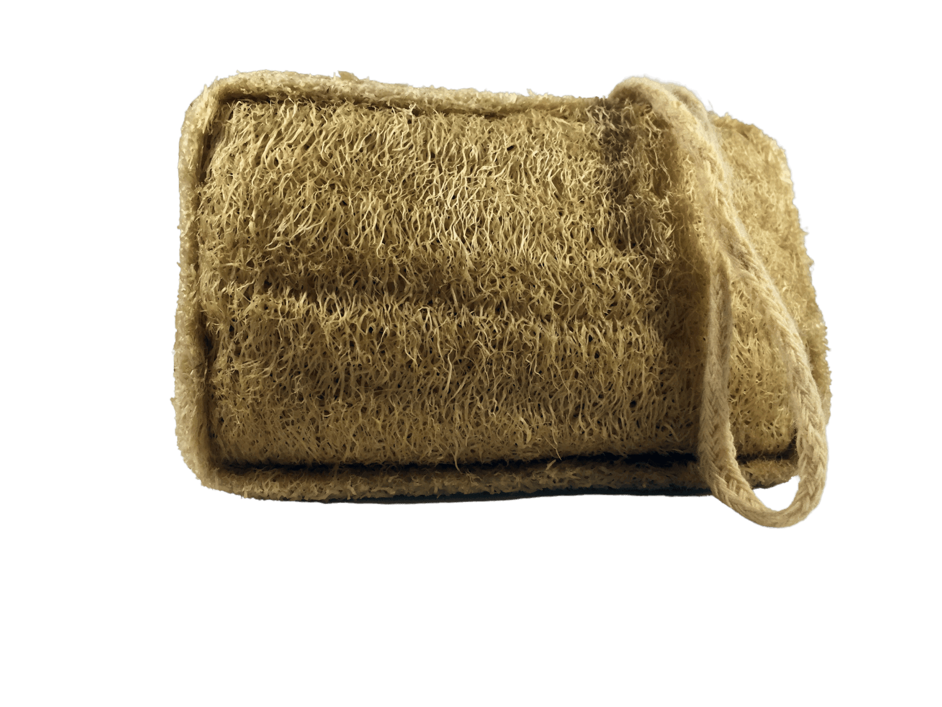 TOA Waters - Wholesale Loofah - Natural Loofah Sponge1