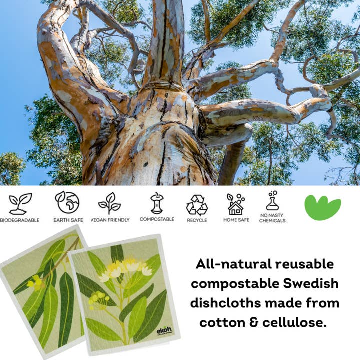 EKOH – wholesale Kökshandduk/Disktrasa – Svenska Miljövänliga Disktrasor 2 pk. Inhemska växtutskrifter