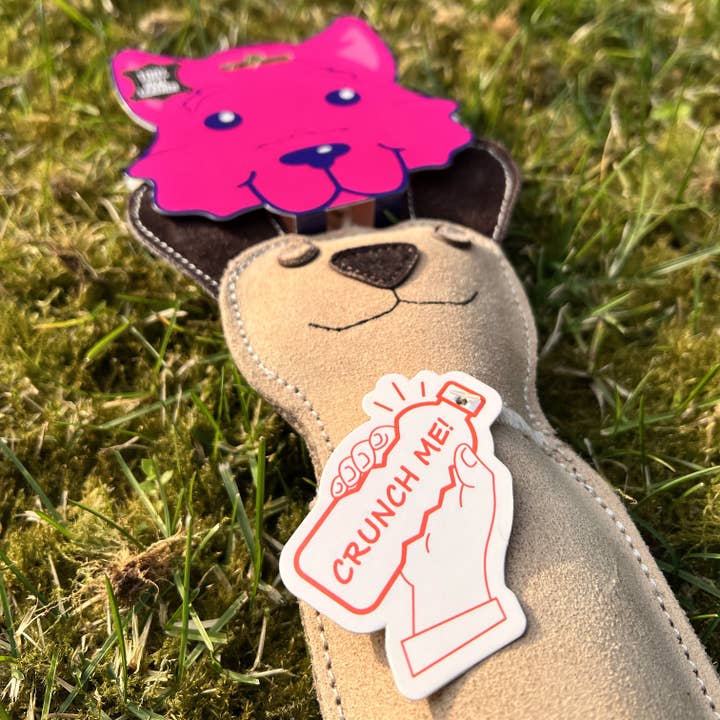 Funny Zoo - Wholesale Pet Squeaky Toy - Dog - Dog toy with bottle inside Dog2