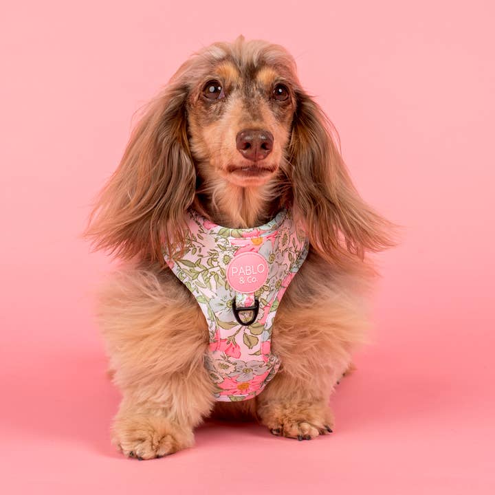 Pablo & Co. Boutique - Wholesale Pet Harness - Dog - Flora & Fern: Adjustable Dog Harness