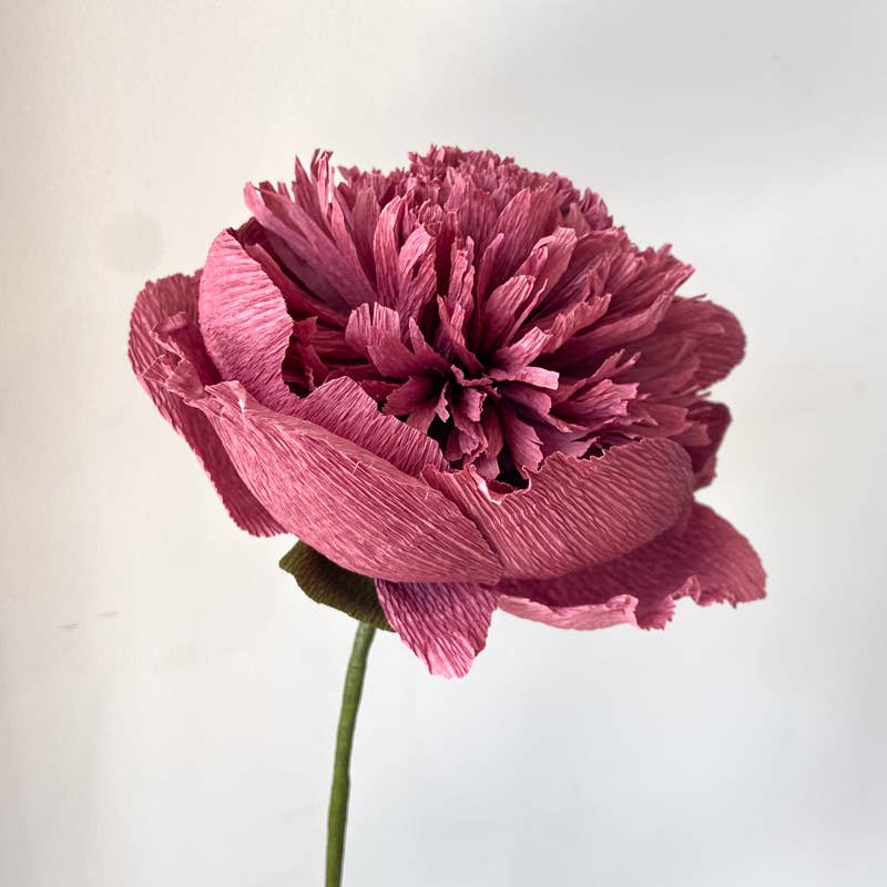 Papercraft Miracles LLC - Vente Fleurs artificielles - Fleur de pivoine charme en papier crépon (petite)1