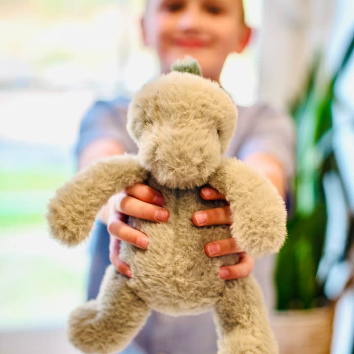 Firefly Delights LLC - Wholesale Stuffed/Plush Toy - Kids & Baby - Dinosaur Plush Lovey