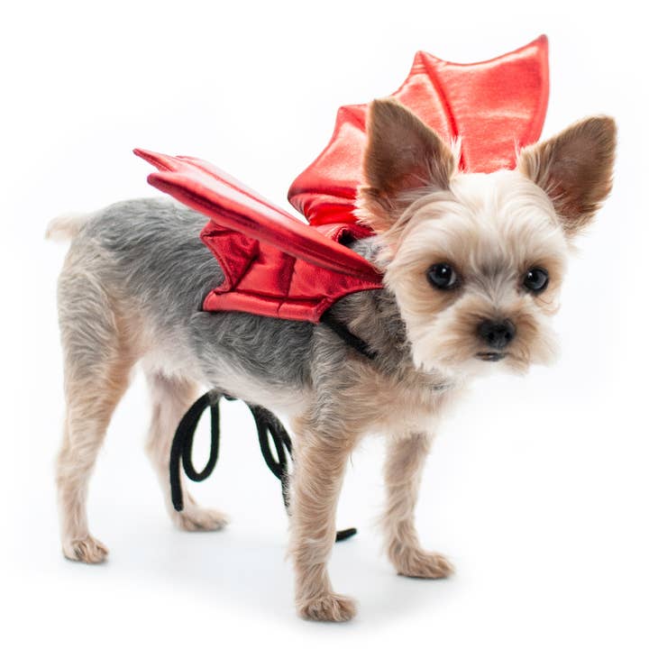 Dogo Pet - Wholesale Pet Costume - Dog - Dragon Wings1