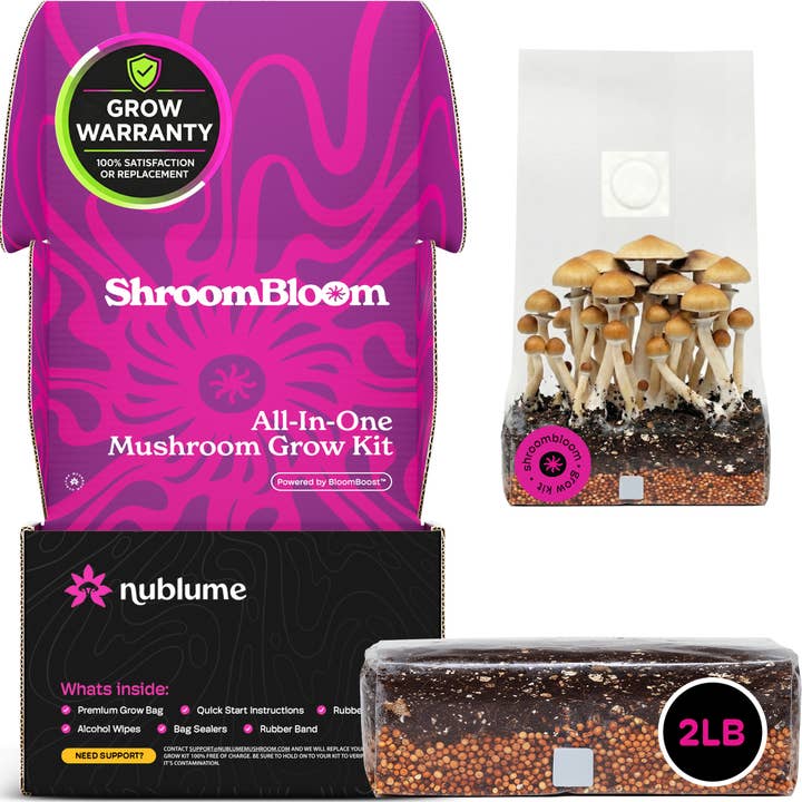 Kit de culture de champignons tout-en-un (2LB) – Pour les débutants pour la vente par Nublume Mushroom