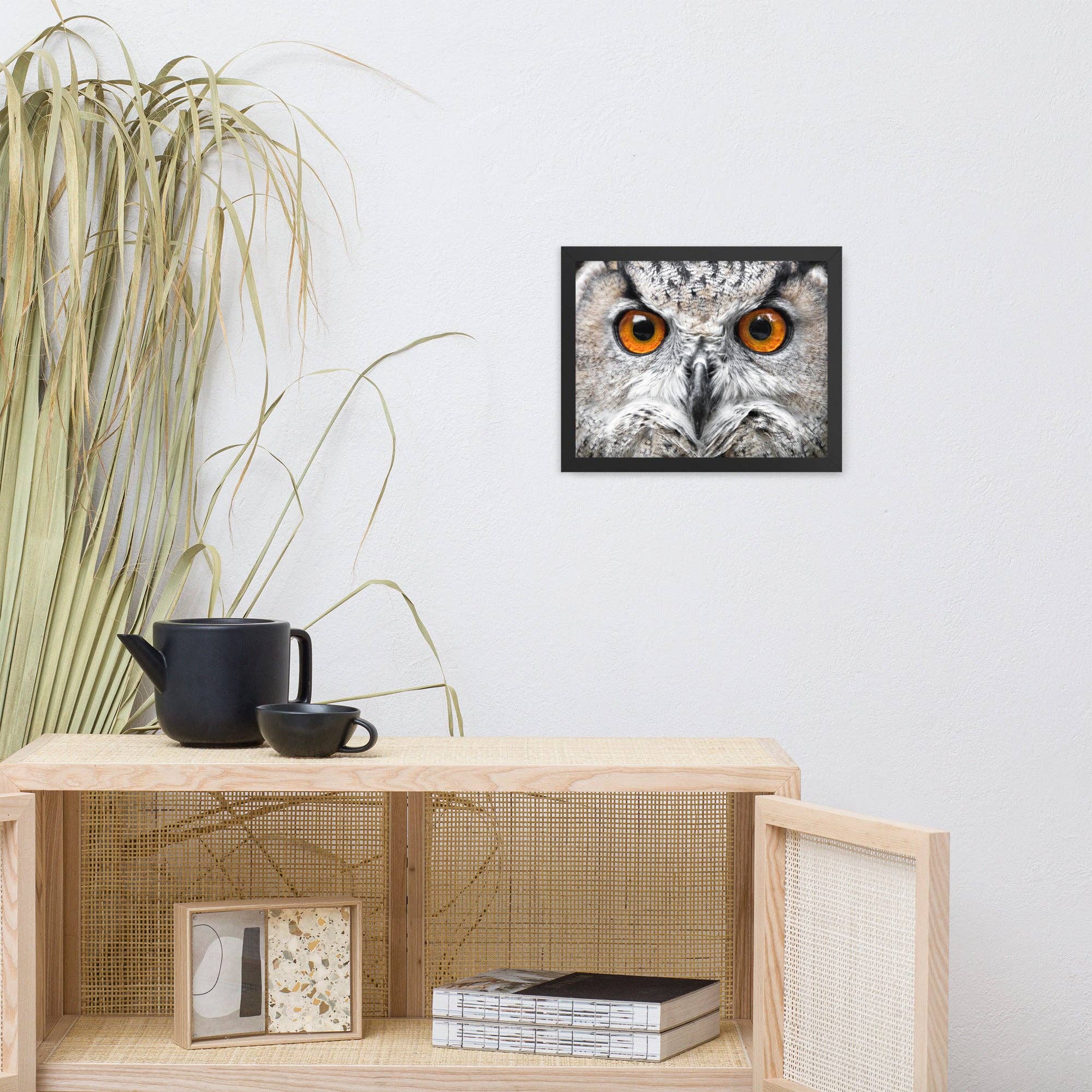 Pipa Wall Art & Home Decor - Wholesale Art Print - Close-up Yellow Owl Eyes Animal Wildlife Framed Wall Art21