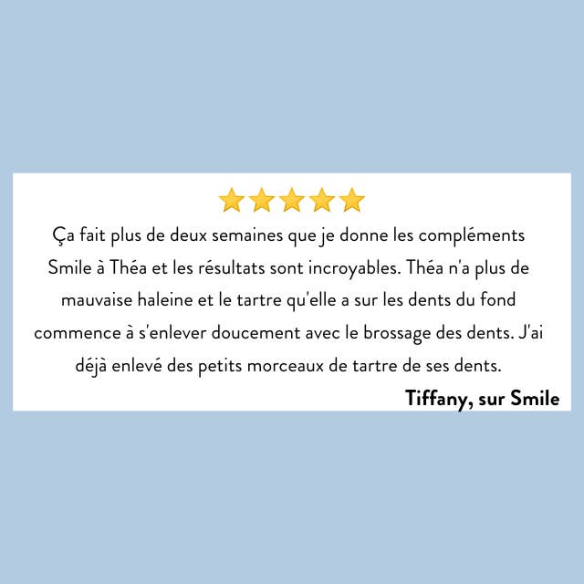 Hello Jack - Wholesale Pet Supplement - Dog - Smile - Supplements for fresh breath and strong teeth2