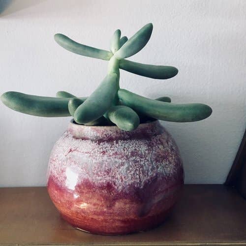 Ombre Planter - pot en céramique émaillée avec trou de drainage pour la vente par Katie Troisi Pottery