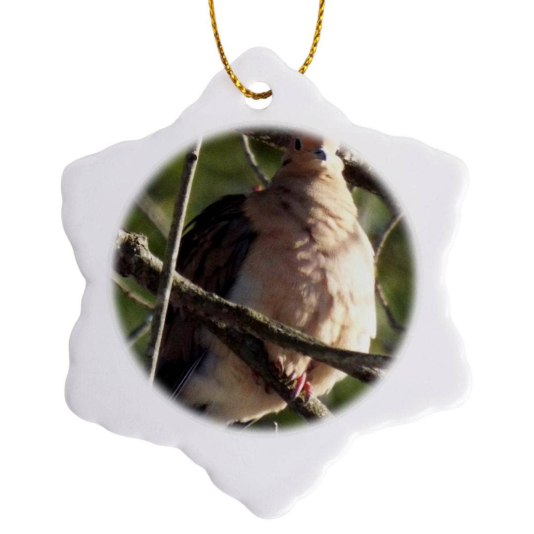 3dRose - Wholesale Ornament - 3dRose, Morning Dove , Ornament7