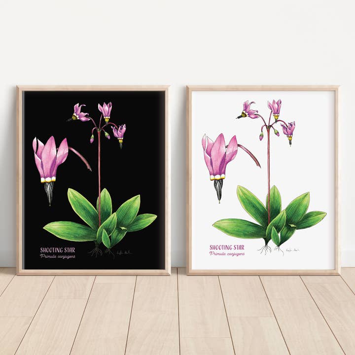 Shooting Star print for wholesale by Madrona Press